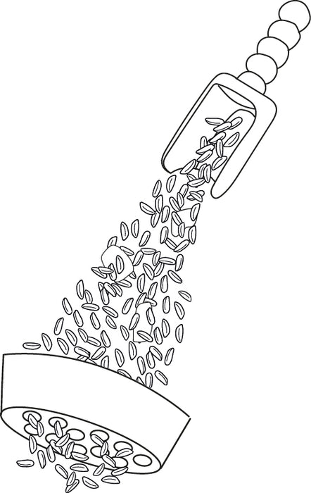 Grennn coloring page rice